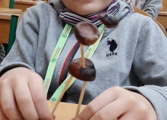 Kasztanowe cudaki klasy 2b grafika