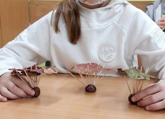 Kasztanowe cudaki klasy 2b grafika