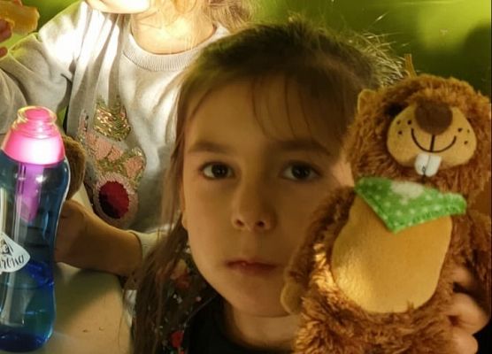 Dzień Pluszowego Misia w klasie 1a grafika