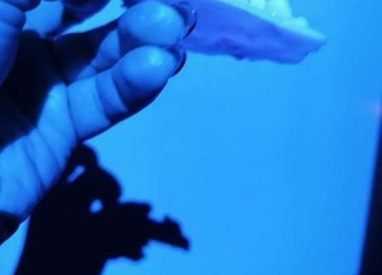 Fotorelacja z zabawy andrzejkowej klasy 7a grafika