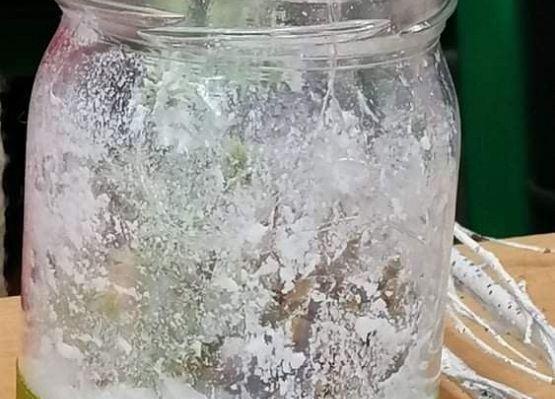 Świąteczne lampiony grafika