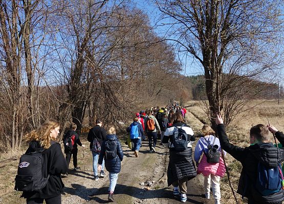 Pierwszy Dzień Wiosny klas IV - VIII grafika