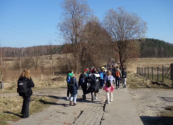 Pierwszy Dzień Wiosny klas IV - VIII grafika