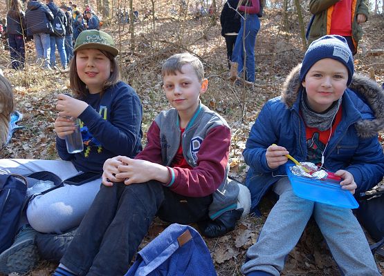 Pierwszy Dzień Wiosny klas IV - VIII grafika