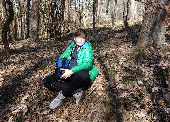 Pierwszy Dzień Wiosny klas IV - VIII grafika