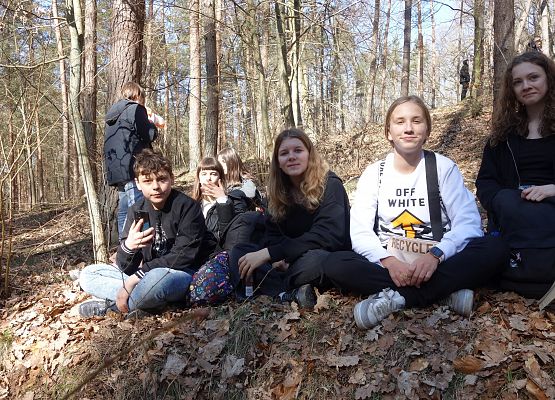 Pierwszy Dzień Wiosny klas IV - VIII grafika