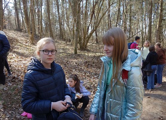 Pierwszy Dzień Wiosny klas IV - VIII grafika