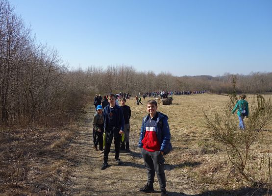 Pierwszy Dzień Wiosny klas IV - VIII grafika