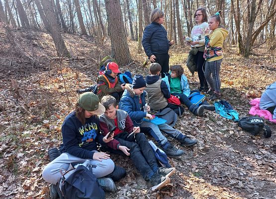 Pierwszy Dzień Wiosny klas IV - VIII grafika