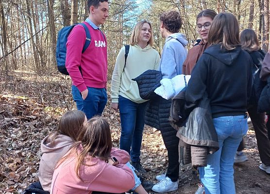 Pierwszy Dzień Wiosny klas IV - VIII grafika