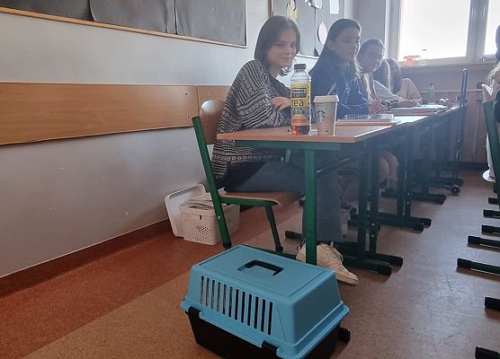 Dzień bez plecaka grafika