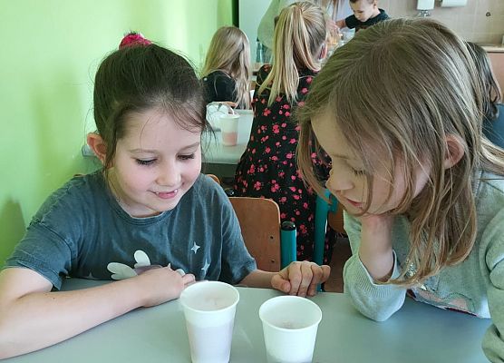 Magiczne eliksiry klasy 1 grafika