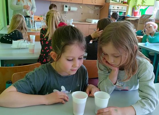 Magiczne eliksiry klasy 1 grafika