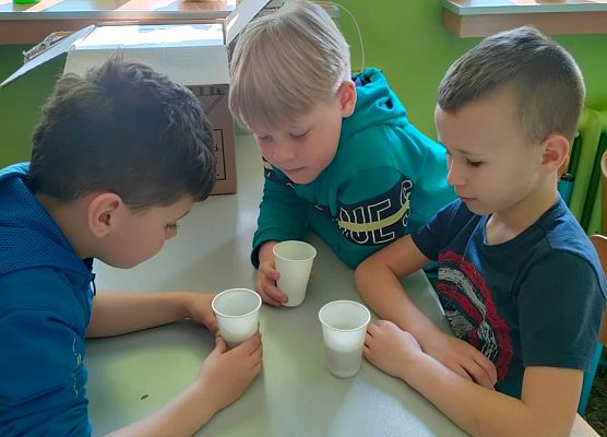 Magiczne eliksiry klasy 1 grafika