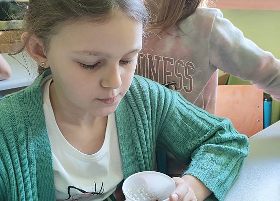 Magiczne eliksiry klasy 1 grafika