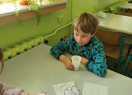 Magiczne eliksiry klasy 1 grafika