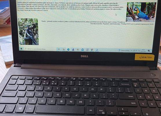 HTML - pierwsze kroki grafika