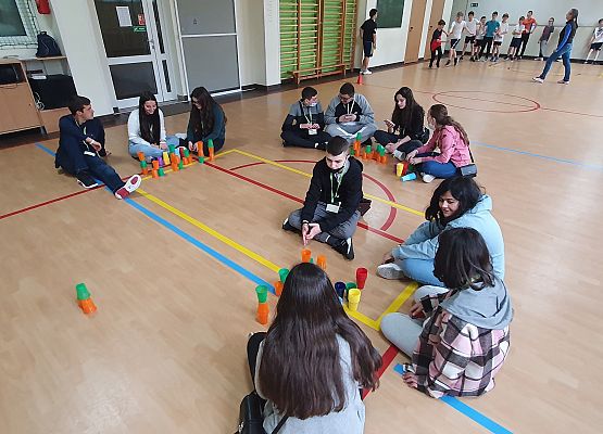 Respect. RESPonsible EduCaTion against violence  - Polska grafika