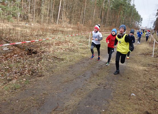 Indywidualne Biegi Przełajowe o Puchar Grand-Prix Lęborka – bieg czwarty grafika