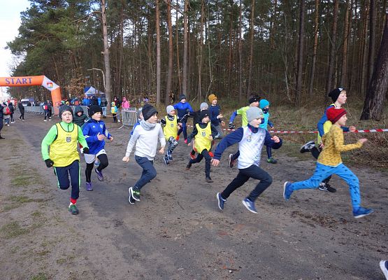 Indywidualne Biegi Przełajowe o Puchar Grand-Prix Lęborka – bieg czwarty grafika