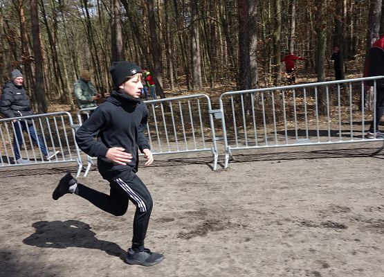 Indywidualne Biegi Przełajowe o Puchar Grand-Prix Lęborka – bieg czwarty grafika