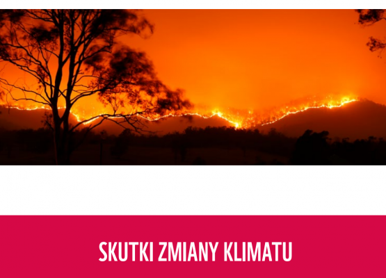 Dzień Ziemi 2022 grafika