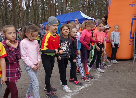 Indywidualne Biegi Przełajowe o Puchar Grand-Prix Lęborka – bieg piąty grafika