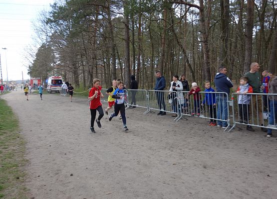 Indywidualne Biegi Przełajowe o Puchar Grand-Prix Lęborka – bieg piąty grafika