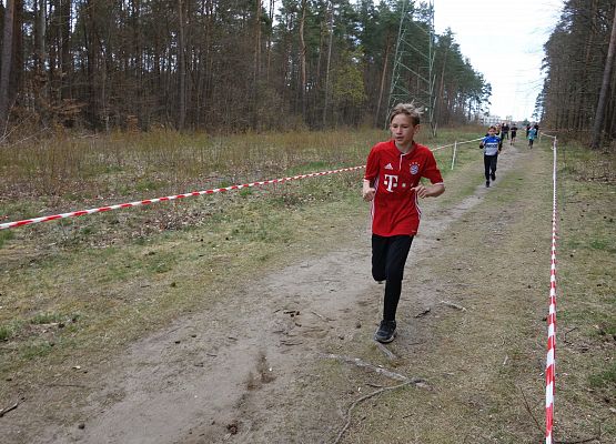 Indywidualne Biegi Przełajowe o Puchar Grand-Prix Lęborka – bieg piąty grafika