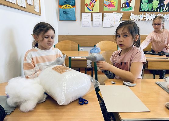 Złote rączki - kotki ze skarpetek grafika