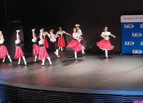 Ogólnopolski Konkurs Historyczny „Losy żołnierza i oręża polskiego w latach 1531-1683” grafika