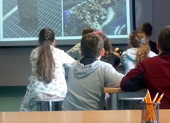 Wycieczka kaszubska do Oceanarium – kl.II i III grafika