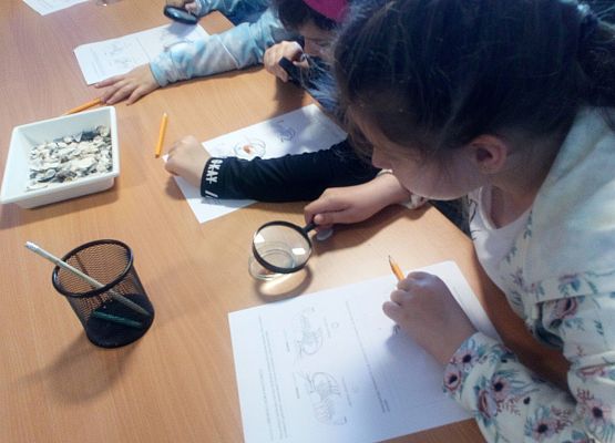 Wycieczka kaszubska do Oceanarium – kl.II i III grafika