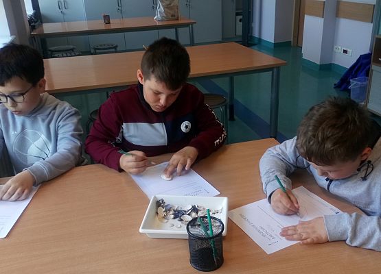 Wycieczka kaszubska do Oceanarium – kl.II i III grafika