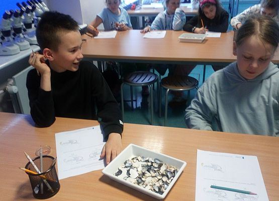 Wycieczka kaszubska do Oceanarium – kl.II i III grafika