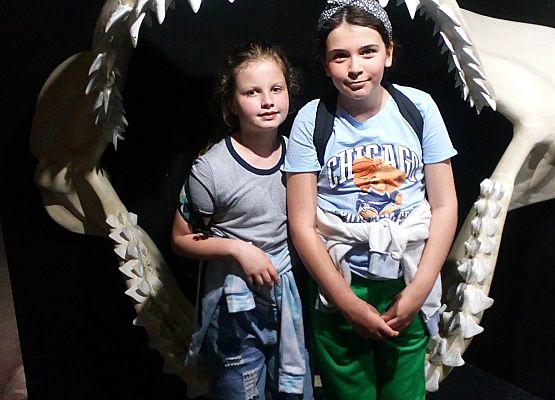 Wycieczka kaszubska do Oceanarium – kl.II i III grafika