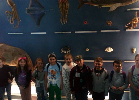 Wycieczka kaszubska do Oceanarium – kl.II i III grafika