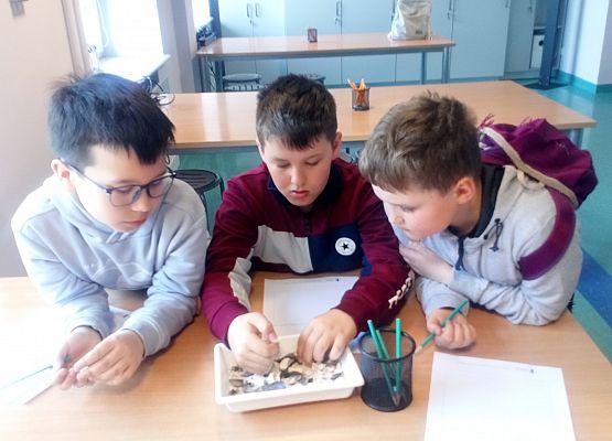 Wycieczka kaszubska do Oceanarium – kl.II i III grafika