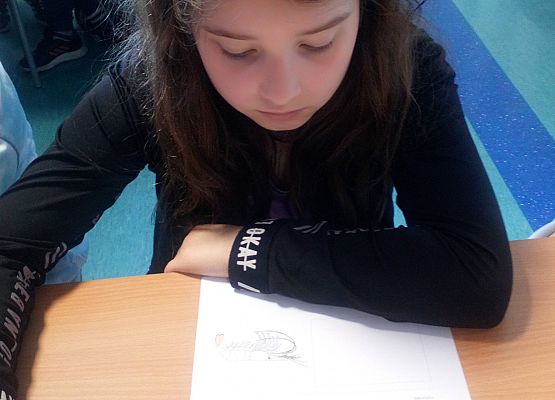 Wycieczka kaszubska do Oceanarium – kl.II i III grafika