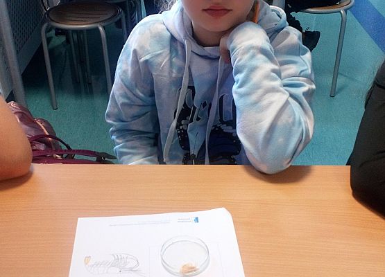 Wycieczka kaszubska do Oceanarium – kl.II i III grafika