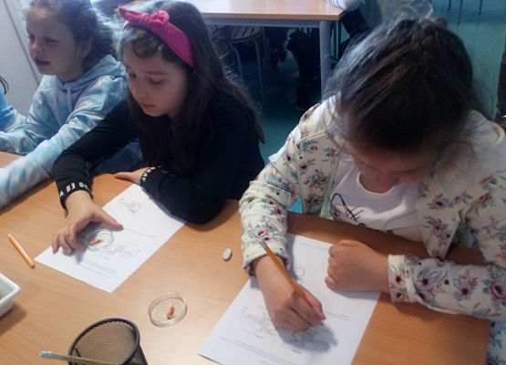 Wycieczka kaszubska do Oceanarium – kl.II i III grafika