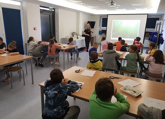 Wycieczka kaszubska do Oceanarium – kl.II i III grafika