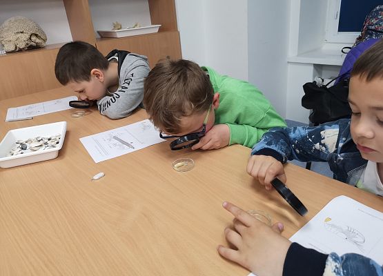 Wycieczka kaszubska do Oceanarium – kl.II i III grafika