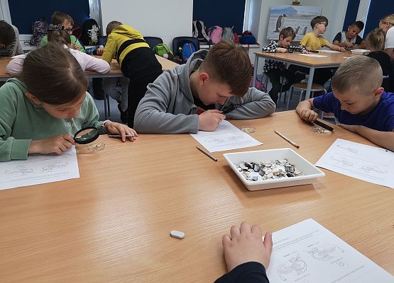 Wycieczka kaszubska do Oceanarium – kl.II i III grafika