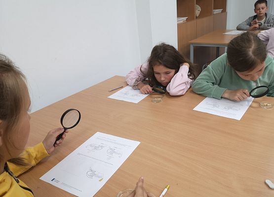 Wycieczka kaszubska do Oceanarium – kl.II i III grafika