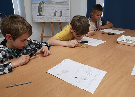 Wycieczka kaszubska do Oceanarium – kl.II i III grafika