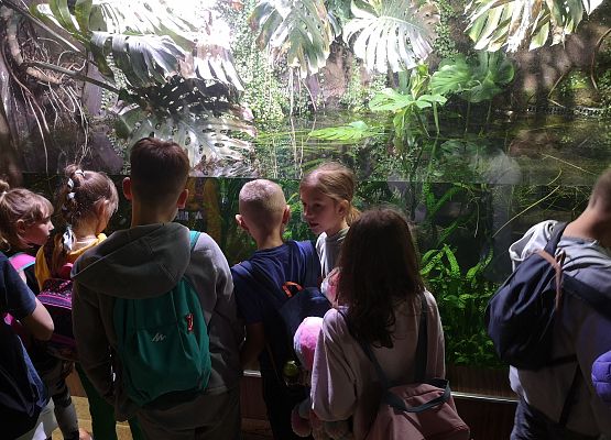 Wycieczka kaszubska do Oceanarium – kl.II i III grafika