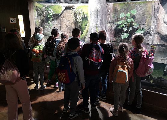 Wycieczka kaszubska do Oceanarium – kl.II i III grafika