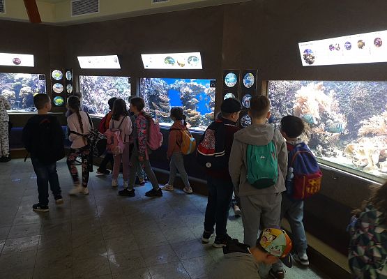 Wycieczka kaszubska do Oceanarium – kl.II i III grafika