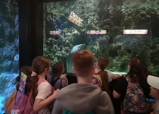Wycieczka kaszubska do Oceanarium – kl.II i III grafika